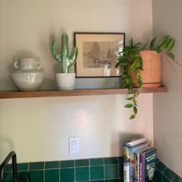 Pink Disco Cactus Home Decor - thumbnail 4