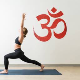 Om Symbol Wall Decal Spiritual Yoga Meditation Room Decor - thumbnail 4