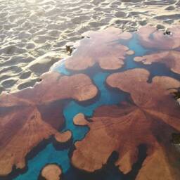 Dining Table Wood, Resin Table, Epoxy River Furniture, Live Edge Table, Dining Room Furniture - thumbnail 4