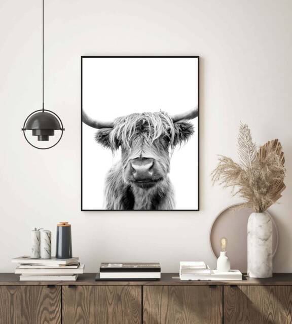 Highland Cow Scottish Black & White Wall Art, Print Home Decor Poster, Modern, Animal Photography, Kitchen Print, Hallway - image 1