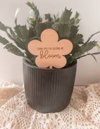 Teacher End Of Term Gift, Thank You For Helping Me Bloom Grow, Teacher, Nursery, Ta, Plant Topper