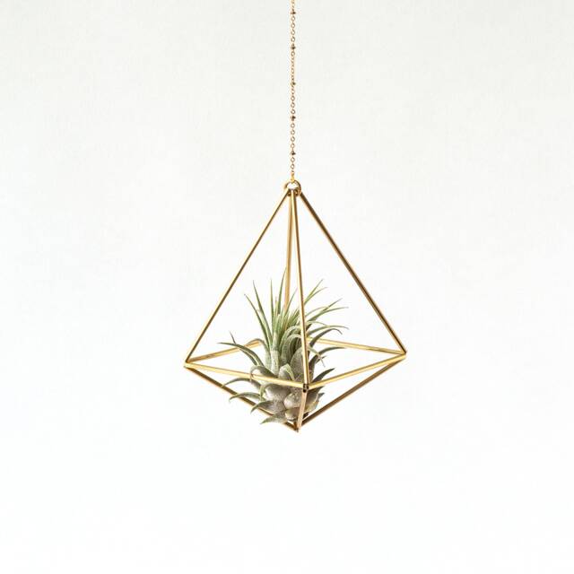Hanging Air Plant Holder, Mobile Himmeli, Gold Hanger, Geometric Planter, Airplant Display, Home Decor Gift, Octahedron 01 - image 1