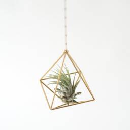 Hanging Air Plant Holder, Mobile Himmeli, Gold Hanger, Geometric Planter, Airplant Display, Home Decor Gift, Octahedron 01 - thumbnail 2