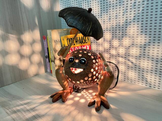 Frog Lamp Coconut Shell Bedroom Table Floor Light Wooden Garden Handmade - image 1