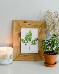 Maidenhair Fern - Print Reproduction Artwork Of Pressed Plants 100% Cotton Rag Paper Botanical Artwork, Greenery - thumbnail 1