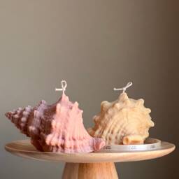 Large Seashell Soy Wax Candle Unique Home Decor - thumbnail 1