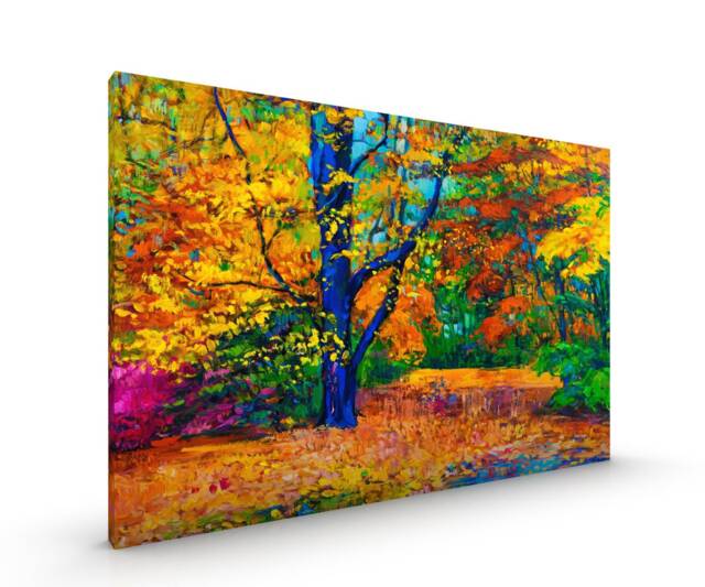 Colourful Autumn Forest Canvas Framed Glossy Premium With Metal Hanger Various Sizes - image 1