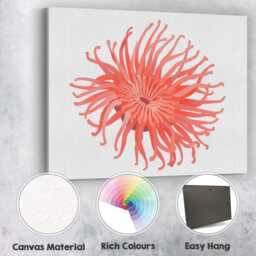 Coral Pink Sea Anemone Underwater Marine Illustration Canvas Wall Art Print Decor Picture Ready To Hang - thumbnail 2