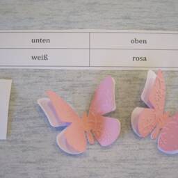 Set Of 20 3D Butterflies Embossed Wall Tattoo Decoration - White Pink Color Choice - thumbnail 3