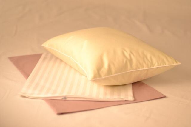 "Down Petite Pillow Set - Mauve - 15""x20"