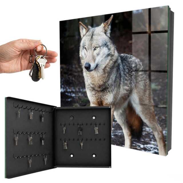 Wolf in The Forest Key Cabinet For Home, Gray Box Photographic Animals, Nature Lovers - image 1