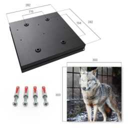 Wolf in The Forest Key Cabinet For Home, Gray Box Photographic Animals, Nature Lovers - thumbnail 4