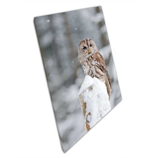 Rustic Tawny Barn Owl Canvas Winter Woodland Scene For Home & Office Decor - Snowy Post Nature Art - image 1