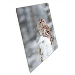 Rustic Tawny Barn Owl Canvas Winter Woodland Scene For Home & Office Decor - Snowy Post Nature Art - thumbnail 1