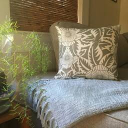 Australian Silver Thistle - thumbnail 2