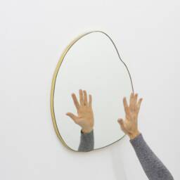 Ergon??? Organic Freeform Modern Mirror With Brass Frame - thumbnail 2