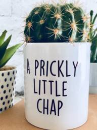Plant Pot, Planter, Cactus Rude Gift, Gift For Women, Funny Plant Her, Friend Birthday Swear - thumbnail 1