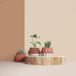 Set Of 3D Wooden Indoor Plant Pots - Gift For Lovers Apartment Decoration Minimalist Geometric Design - thumbnail 2