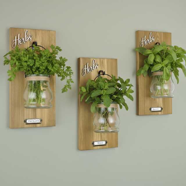 Rustic Wall Hanging Herb Garden Glass Pots, New Home Gift - image 1