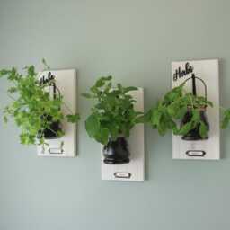 Rustic Wall Hanging Herb Garden Glass Pots, New Home Gift - thumbnail 2