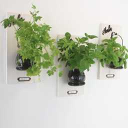 Rustic Wall Hanging Herb Garden Glass Pots, New Home Gift - thumbnail 3