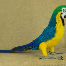 Made To Order Needle Felted Macaw Custom Needle Felted Animal Sculpture - thumbnail 4