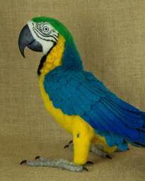 Made To Order Needle Felted Macaw Custom Needle Felted Animal Sculpture