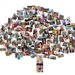 Custom Family Tree Photo Collage Art, Anniversary Gift Canvas - thumbnail 3