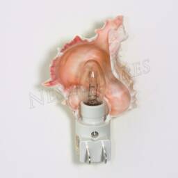 Nessastores - Pink Murex Sea Shell Nightlight Kitchen Bathroom Beach Home Decor Craft - 1 Pc #jc-098 - thumbnail 3
