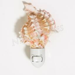 Nessastores - Pink Murex Sea Shell Nightlight Kitchen Bathroom Beach Home Decor Craft - 1 Pc #jc-098 - thumbnail 2