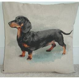 Dachshund Cushion Cover 16x16 Pillow Sham 16 - thumbnail 1