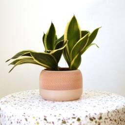 3D Printed Planter Minimalist Wave Design, Indoor Plant Pot Jadzia - thumbnail 3