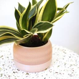 3D Printed Planter Minimalist Wave Design, Indoor Plant Pot Jadzia - thumbnail 2