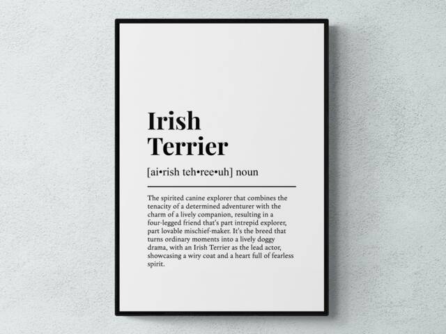 Irish Terrier Funny Definition Dog Wall Art Print - image 1