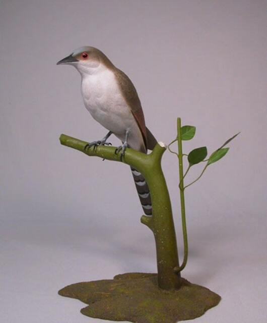 Black-Billed Cuckoo Hand Carved Wooden Bird - image 1