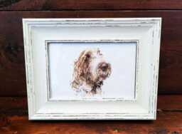 Spinone Italiano Print 17x12cm - White Rustic Frame - Italian Dog Wall Art, Scruffy Breed Decor, Gift For Owners - thumbnail 1