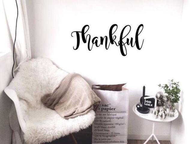Thankful Vinyl Wall Decal Peel & Stick Lettering - image 1