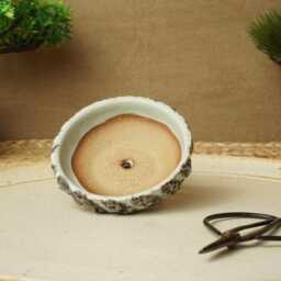Handmade Black Larva & Green Mame Bonsai Pot. G1983 - thumbnail 4