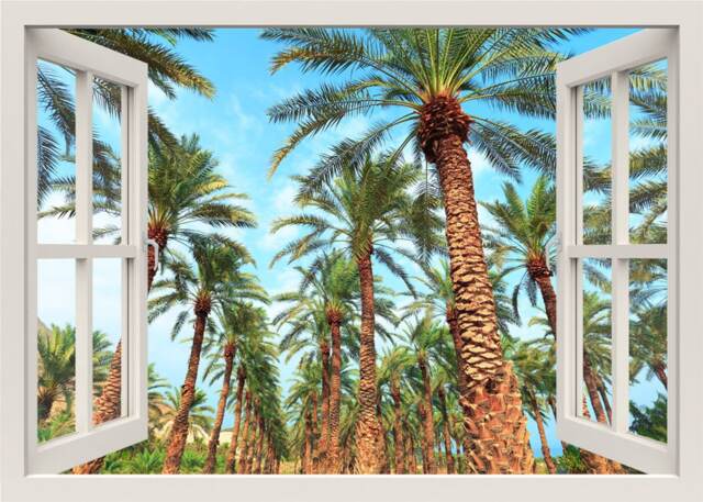 Tropical Beach Wall Decal, Palm Trees 3D Window Sticker, Frame, View Mural Home Decor
