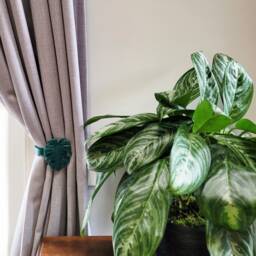 Replaceable Monstera Shape Curtain Holdbacks/Tiebacks 3D Printed Plastic - Set Of Left & Right - thumbnail 3