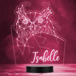 3D Style Geometric Owl Bird Personalised Gift Colour Change Led Lamp Night Light