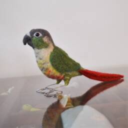 Mr. Green Cheeked Conure, Life Size Needle Felted Bird Fiber Sculpture