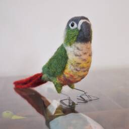 Mr. Green Cheeked Conure, Life Size Needle Felted Bird Fiber Sculpture - thumbnail 2