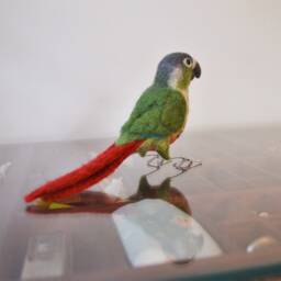 Mr. Green Cheeked Conure, Life Size Needle Felted Bird Fiber Sculpture - thumbnail 3