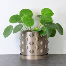 "Polka Dot Planter With Drainage & Saucer in Champagne Bronze, Unique 3D-Printed Plant Pot, Small To Large Sizes 4"" 5"" 6"" 7"" 8" - thumbnail 2
