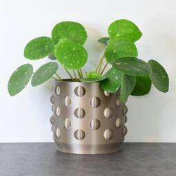 "Polka Dot Planter With Drainage & Saucer in Champagne Bronze, Unique 3D-Printed Plant Pot, Small To Large Sizes 4"" 5"" 6"" 7"" 8" - thumbnail 3