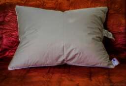 "standard Down Pillow - Medium Weight - 20""x26"