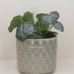 Grey Trellis Plant Pot - Geometric Pattern Ceramic Planter Home Decor Stoneware Cover - thumbnail 4