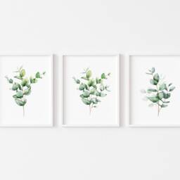 Eucalyptus Wall Art Prints Botanical Home Decor Set Of 3 - Unframed - thumbnail 2