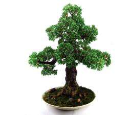 Beaded Artificial Wire Oak Tree - Miniature Beaded Autumn Bonsai Sculpture Woody Plant Copper Of Life - thumbnail 1